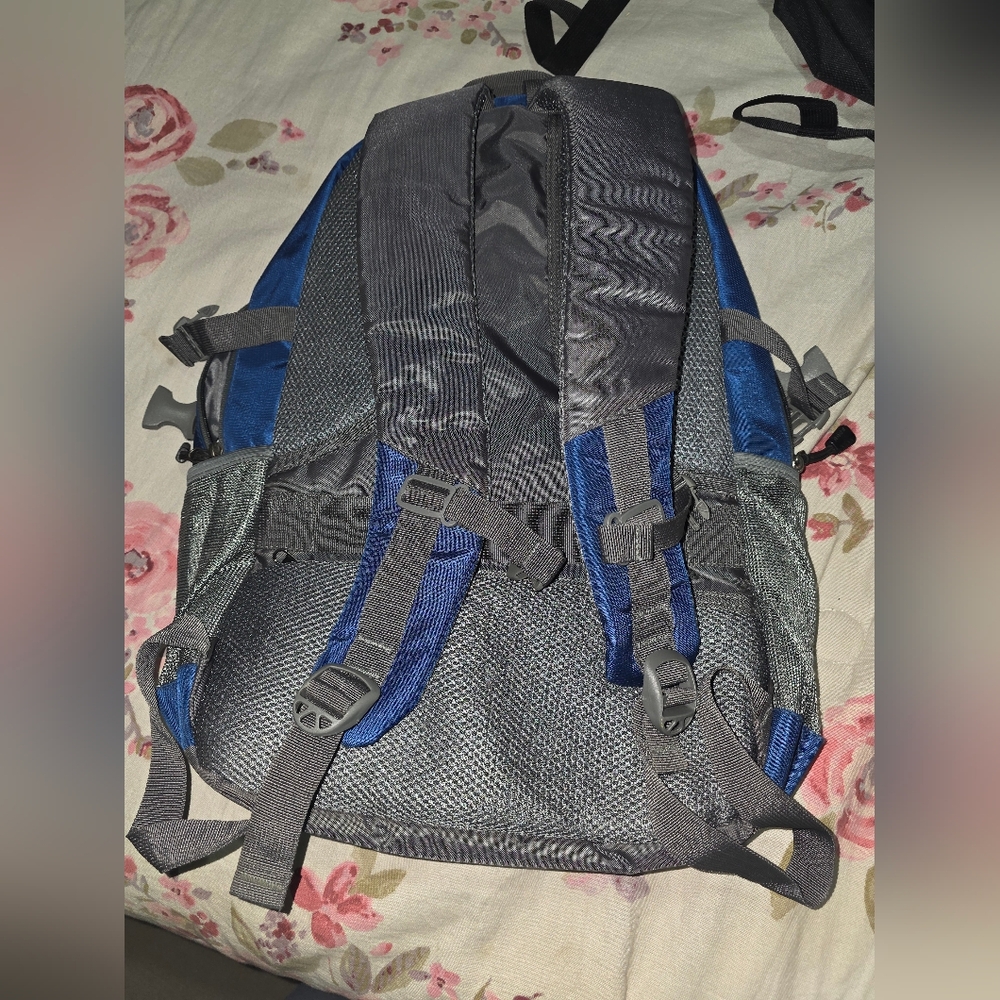 Blue and Gray Backpack - Picture 5 of 5